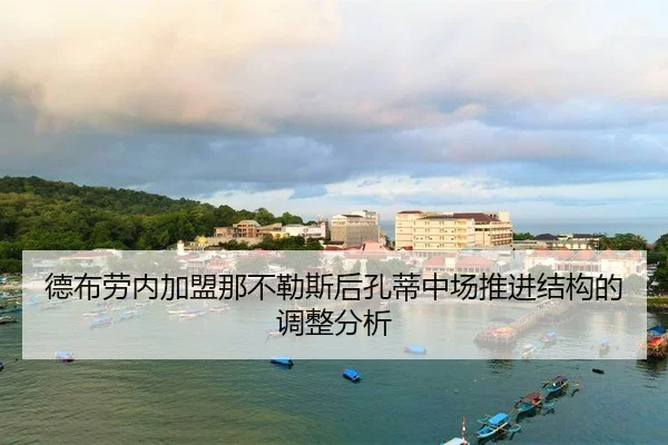 de-bu-lao-nei-jia-meng-na-bu-le-si-hou-kong-di-zhong-chang-tui-jin-jie-gou-de-tiao-zheng-fen-xi-2-199.jpg