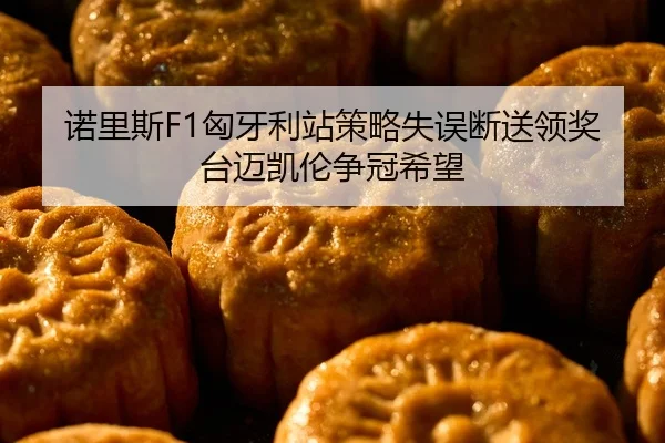 nuo-li-si-xiong-ya-li-zhan-ce-lve-shi-wu-duan-song-ling-jiang-tai-mai-kai-lun-zheng-guan-xi-wang-2-156.jpg