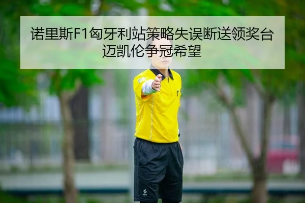诺里斯F1匈牙利站策略失误断送领奖台迈凯伦争冠希望