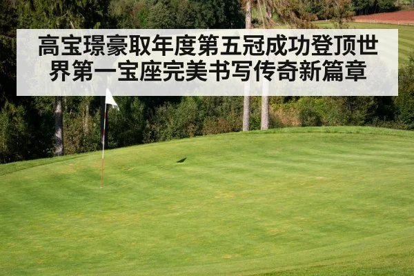 高宝璟豪取年度第五冠成功登顶世界第一宝座完美书写传奇新篇章
