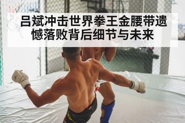 吕斌冲击世界拳王金腰带遗憾落败背后细节与未来